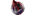 SteelWolves Gaialogo std.png