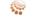 NEophyteLogo std.png