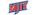 New Jersey Institute of Technologylogo std.png
