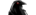 Corax Gaminglogo std.png
