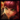 AnnieSquare.png
