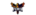 FEN1X eSportslogo std.png