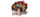 ROX Tigerslogo std.png