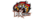 ROX Tigerslogo std.png