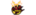 Genesis (Malaysian Team)logo std.png