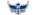Solwing Esportslogo std.png