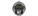 Team NZlogo std.png