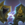 Zeke's Harbinger.png