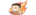 The Limited Editionlogo std.png
