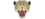 Clouded Leopardslogo std.png