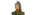 The Nativeslogo std.png