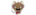 Se Loco Cachorreiralogo std.png