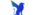 Team Black (Dutch Team)logo std.png