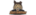 Don Gamerlogo std.png