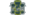 Exeter Esportslogo std.png
