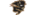 University of Manitobalogo std.png