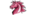 Unicorns Of Lovelogo std.png