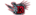 Team DKlogo std.png