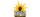 BPZlogo std.png