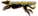 Lemondogslogo std.png