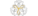 Lotus Esports (2019 North American Team)logo std.png