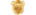 E8 WINlogo std.png