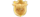 E8 WINlogo std.png