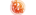 FXOpen std.png