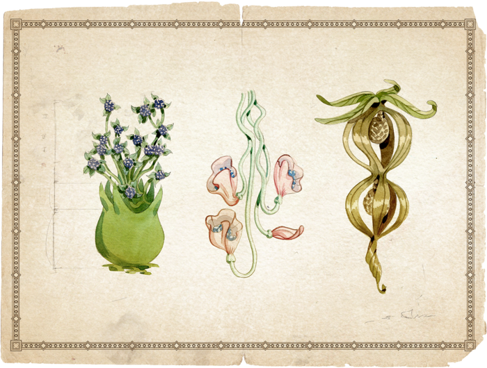 Ioniaeduard Santangelos Vastaya Field Journal