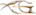 X-Show Electronic Gamelogo std.png