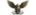 Demacialogo std.png