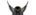Tides of Timelogo std.png