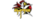 Acclaim EmpireXlogo std.png