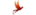 Fenix Senselogo std.png