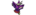Team Xolologo std.png