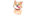 Corgi V2logo std.png