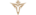 Victory Fivelogo std.png