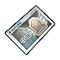 Item 20300041 Icon.png