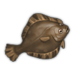 Halibut.png