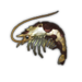 Oily Shrimp.png