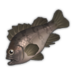 Red Rockfish.png