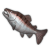 River Salmon.png