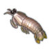 Mantis Shrimp.png