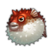 Hot Blowfish.png