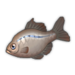 Bitterling.png