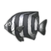 Striped Beakfish.png