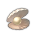 Pearl Oyster.png