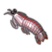 Striped Mantis Shrimp.png