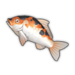 Calico Koi.png