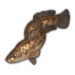 Northern Snakehead.png